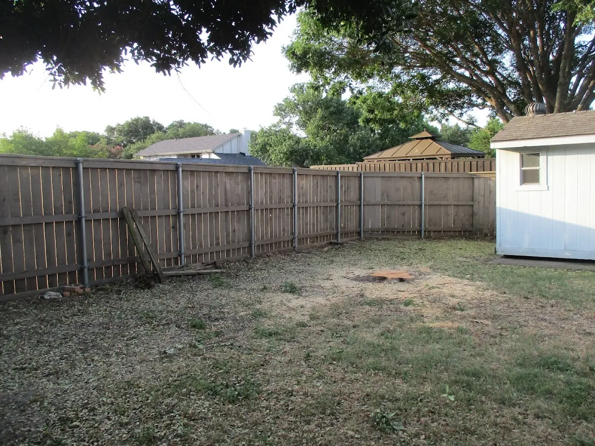 Cleared yard after professional tree removal in Phillipsburg